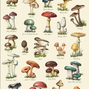 Meet your Posher, Hailey